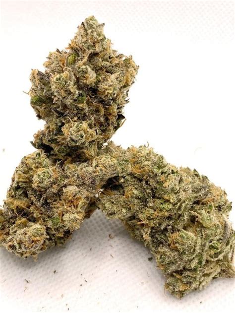 lemon versace strain|Lemon Verzace Weed Strain Information .